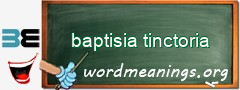 WordMeaning blackboard for baptisia tinctoria